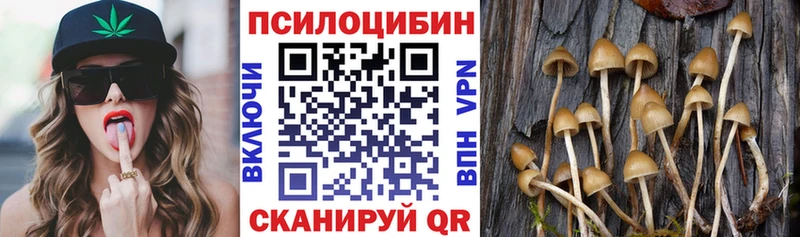 Галлюциногенные грибы мицелий купить наркотик shop формула Белая Холуница