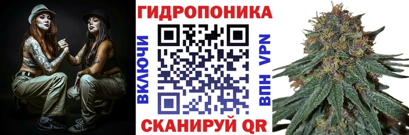 Канабис ГИДРОПОН  mega маркетплейс  Белая Холуница  где найти наркотики 